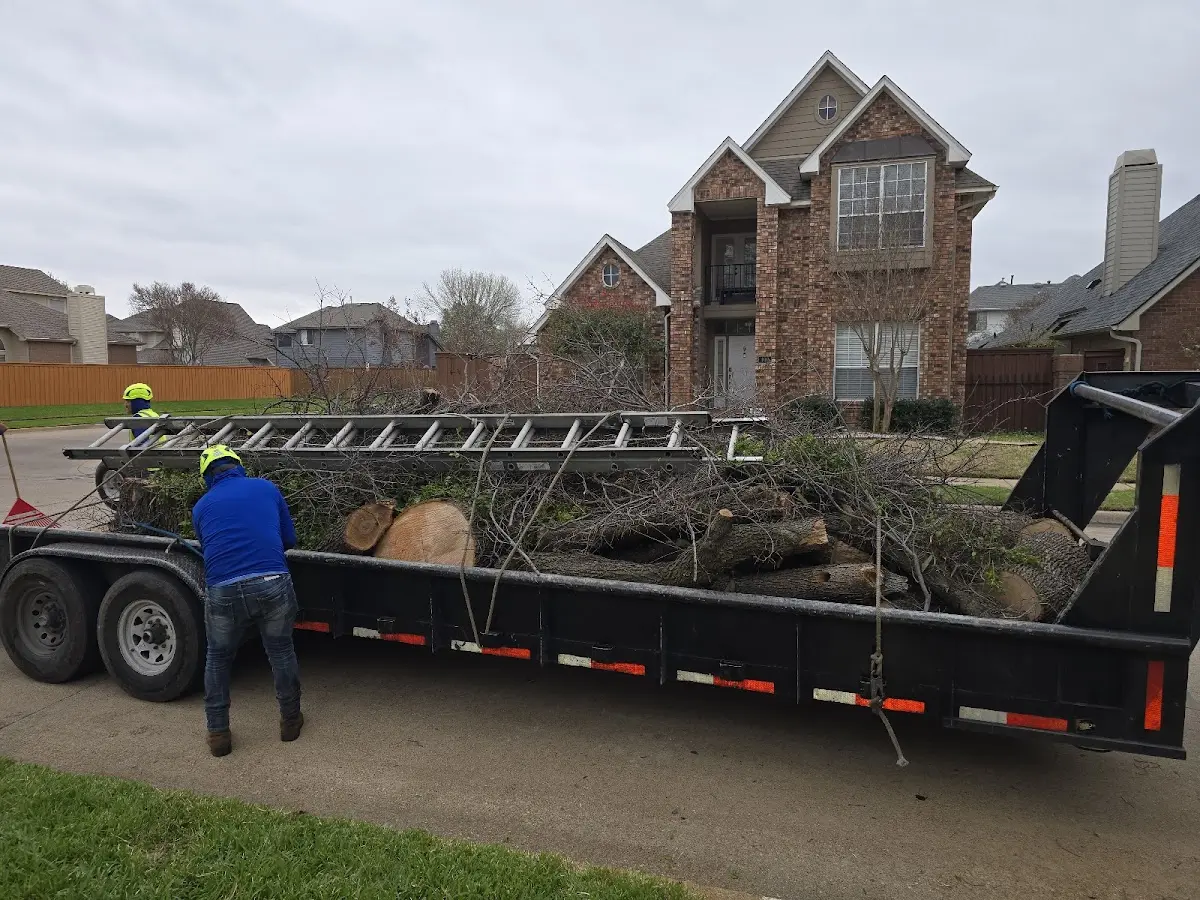 Expert Tree Fertilization with proper safety equipment in Bement